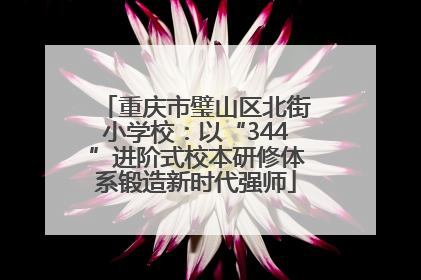 重庆市璧山区北街小学校：以“344”进阶式校本研修体系锻造新时代强师