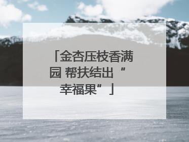 金杏压枝香满园 帮扶结出“幸福果”