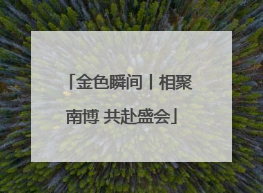 金色瞬间丨相聚南博 共赴盛会
