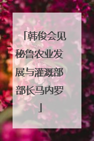 韩俊会见秘鲁农业发展与灌溉部部长马内罗