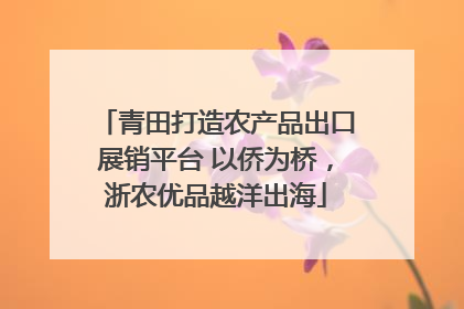 青田打造农产品出口展销平台 以侨为桥，浙农优品越洋出海