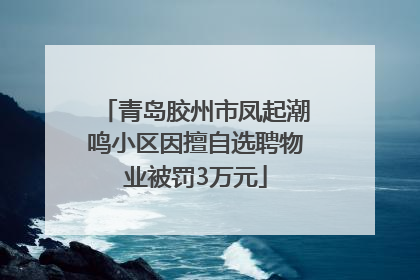 青岛胶州市凤起潮鸣小区因擅自选聘物业被罚3万元