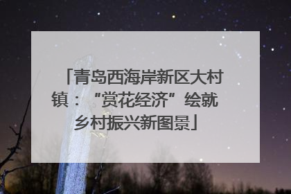 青岛西海岸新区大村镇：“赏花经济”绘就乡村振兴新图景