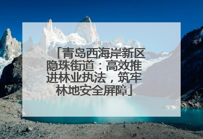 青岛西海岸新区隐珠街道：高效推进林业执法，筑牢林地安全屏障