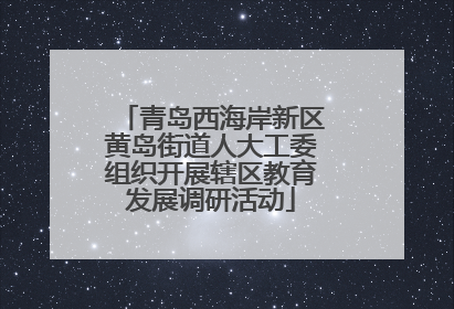 青岛西海岸新区黄岛街道人大工委组织开展辖区教育发展调研活动