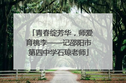 青春绽芳华，师爱育桃李——记邵阳市第四中学石琼老师