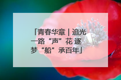 青春华章｜追光一路“声”花 逐梦“船”承百年