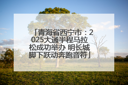 青海省西宁市：2025大通半程马拉松成功举办 明长城脚下跃动奔跑音符