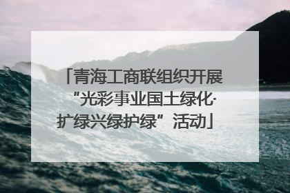 青海工商联组织开展“光彩事业国土绿化·扩绿兴绿护绿”活动