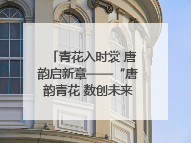 青花入时裳 唐韵启新章——“唐韵青花 数创未来”数字文创设计大赛启幕