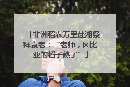 非洲稻农万里赴湘祭拜袁老：“老师，冈比亚的稻子熟了”