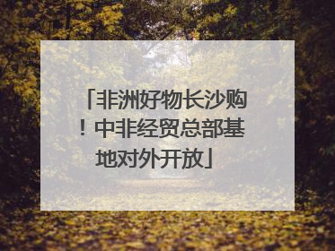 非洲好物长沙购！中非经贸总部基地对外开放