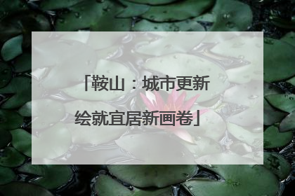 鞍山：城市更新绘就宜居新画卷