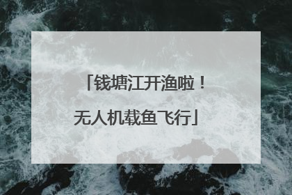 钱塘江开渔啦！无人机载鱼飞行
