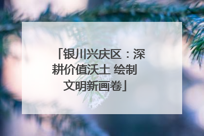 银川兴庆区：深耕价值沃土 绘制文明新画卷