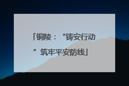铜陵：“铸安行动”筑牢平安防线