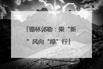 锡林郭勒：乘“新”风向“绿”行