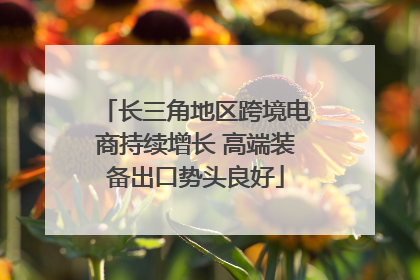 长三角地区跨境电商持续增长 高端装备出口势头良好