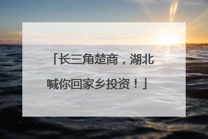 长三角楚商，湖北喊你回家乡投资！