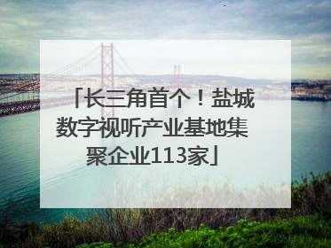长三角首个！盐城数字视听产业基地集聚企业113家