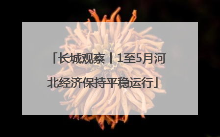 长城观察丨1至5月河北经济保持平稳运行