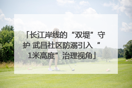 长江岸线的“双堤”守护 武昌社区防溺引入“1米高度”治理视角