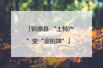 镇原县 “土特产”变“金招牌”