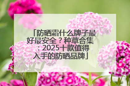防晒霜什么牌子最好最安全？种草合集：2025十款值得入手的防晒品牌