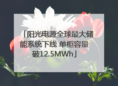 阳光电源全球最大储能系统下线 单柜容量破12.5MWh