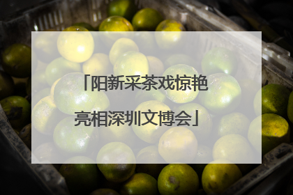 阳新采茶戏惊艳亮相深圳文博会