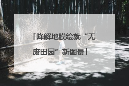 降解地膜绘就“无废田园”新图景