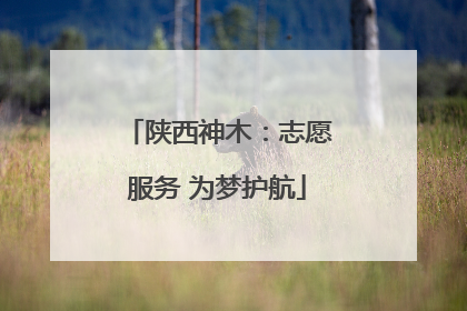 陕西神木：志愿服务 为梦护航