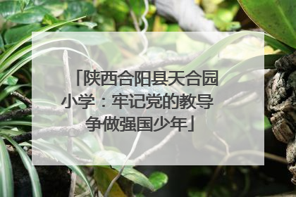 陕西合阳县天合园小学：牢记党的教导 争做强国少年
