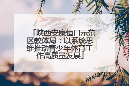 陕西安康恒口示范区教体局：以系统思维推动青少年体育工作高质量发展
