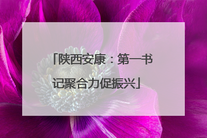 陕西安康：第一书记聚合力促振兴