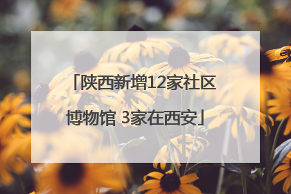 陕西新增12家社区博物馆 3家在西安