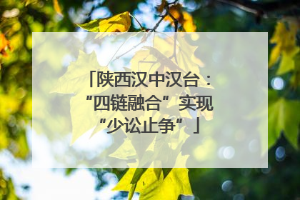 陕西汉中汉台：“四链融合”实现“少讼止争”