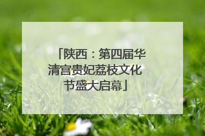 陕西：第四届华清宫贵妃荔枝文化节盛大启幕