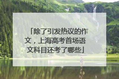 除了引发热议的作文，上海高考首场语文科目还考了哪些
