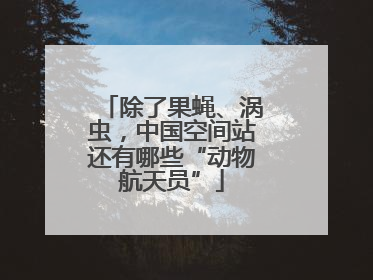 除了果蝇、涡虫，中国空间站还有哪些“动物航天员”