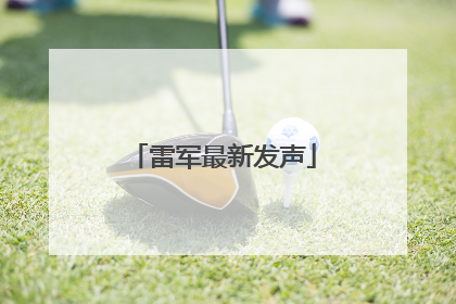 雷军最新发声