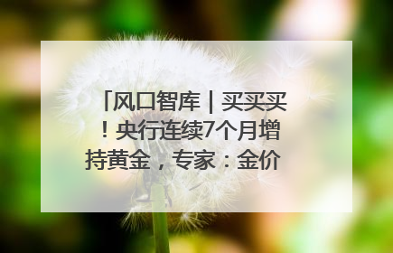 风口智库｜买买买！央行连续7个月增持黄金，专家：金价或仍易涨难跌