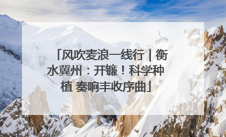 风吹麦浪一线行｜衡水冀州：开镰！科学种植 奏响丰收序曲