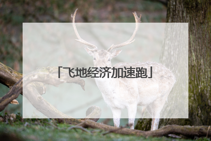 飞地经济加速跑