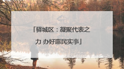 驿城区：凝聚代表之力 办好惠民实事