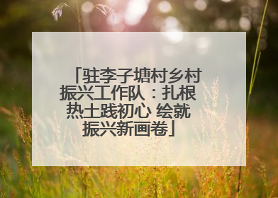 驻李子塘村乡村振兴工作队：扎根热土践初心 绘就振兴新画卷