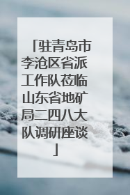 驻青岛市李沧区省派工作队莅临山东省地矿局二四八大队调研座谈