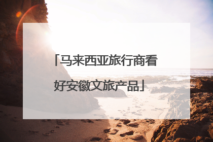 马来西亚旅行商看好安徽文旅产品