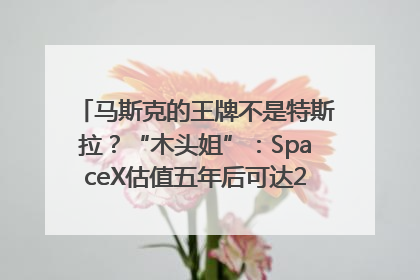 马斯克的王牌不是特斯拉？“木头姐”：SpaceX估值五年后可达2.5万亿美元！