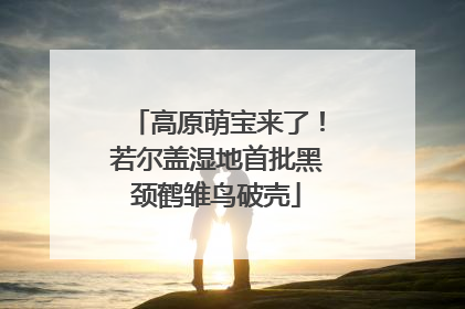 高原萌宝来了！若尔盖湿地首批黑颈鹤雏鸟破壳